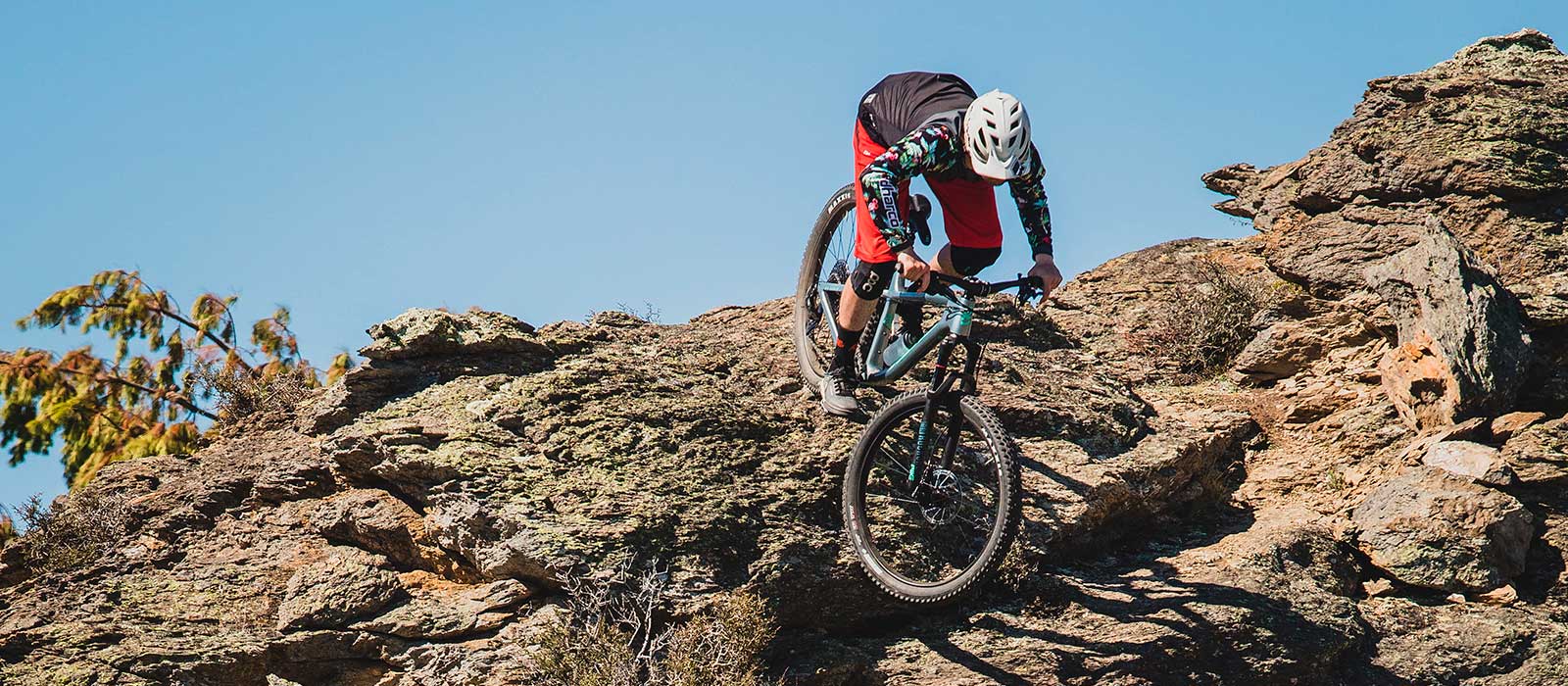 gravel bike downhill